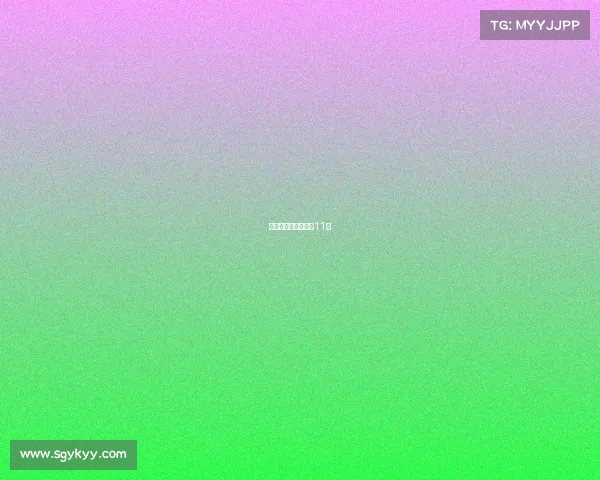 女网赛事、女网赛事11月