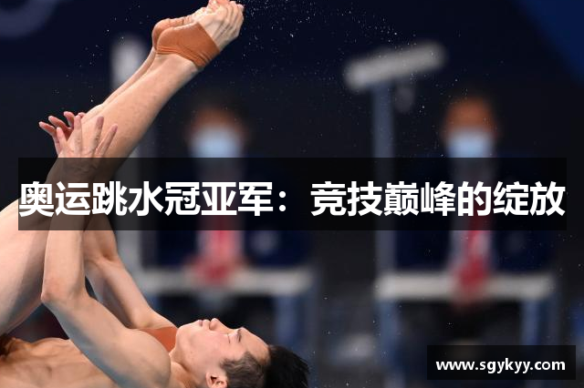 奥运跳水冠亚军：竞技巅峰的绽放