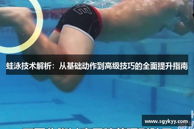 蛙泳技术解析：从基础动作到高级技巧的全面提升指南