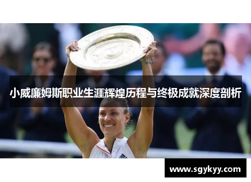 小威廉姆斯职业生涯辉煌历程与终极成就深度剖析